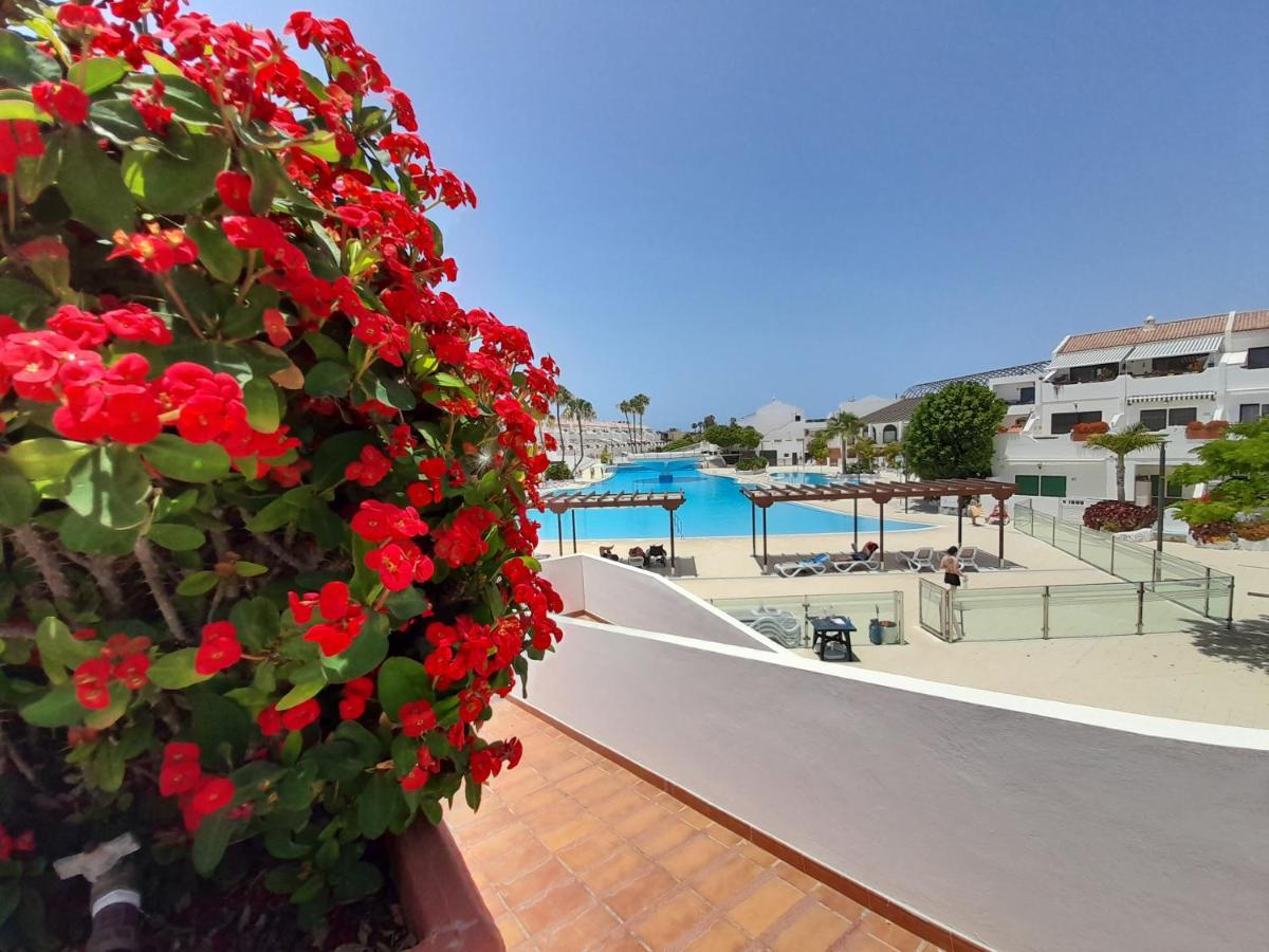 Апартаменты Parque Don Jose 390 Арона Экстерьер фото